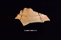 藏品(陶罐)的圖片